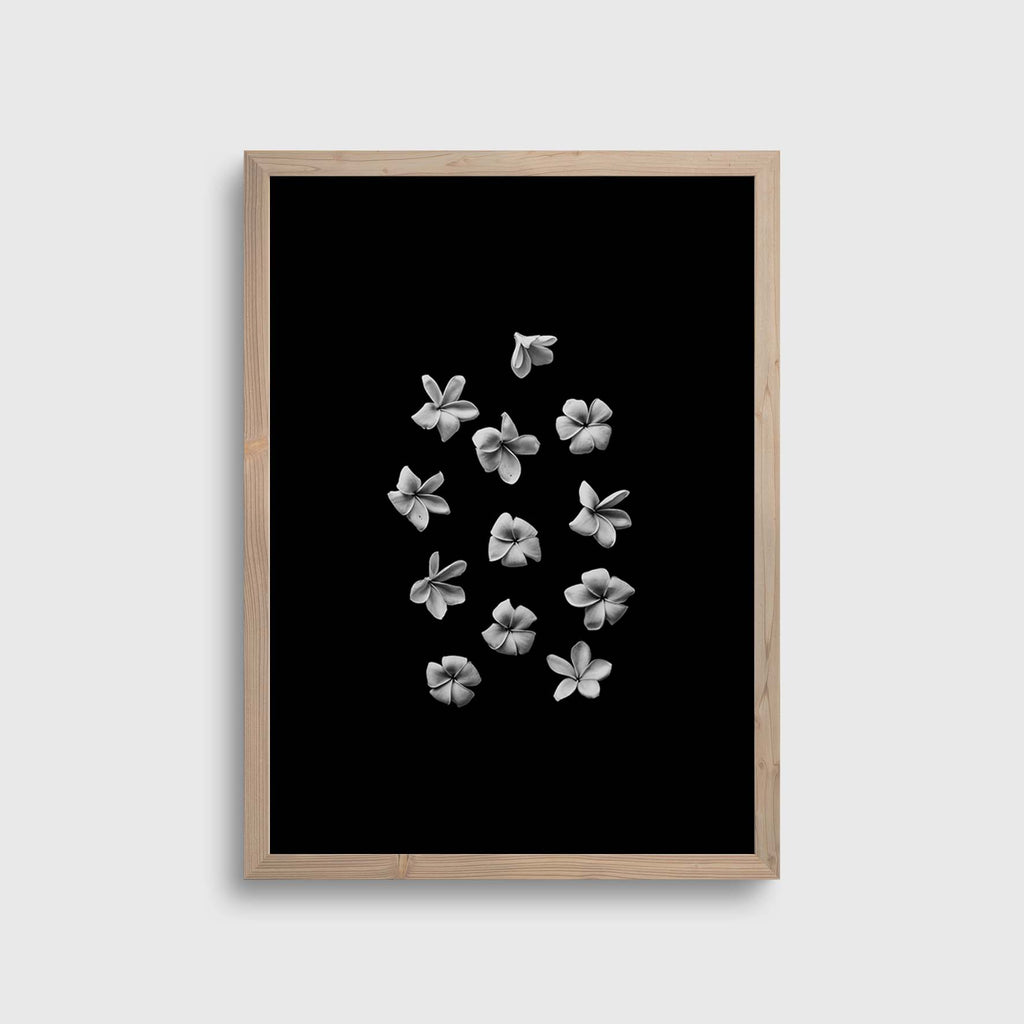 Jasmine flower