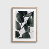 Eucalyptus #2