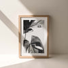 Grey Monstera #2