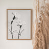 White Carnations #1