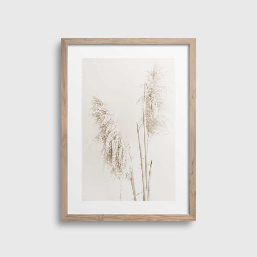 Pampas #3