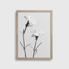 White Carnations #1