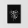 Canvas | Monstera Leaf