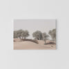 Canvas | Desert Trees Horizontal, The Emirates