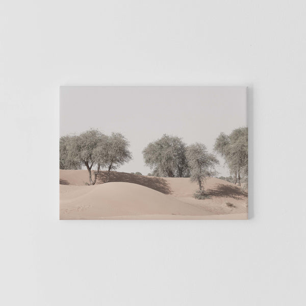 Canvas | Desert Trees Horizontal, The Emirates